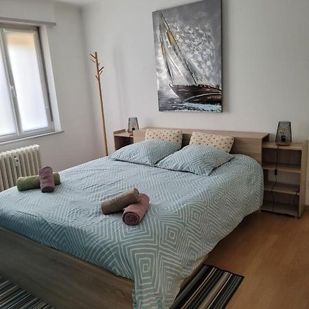 Les Jacynthes Apartment Colmar Luaran gambar